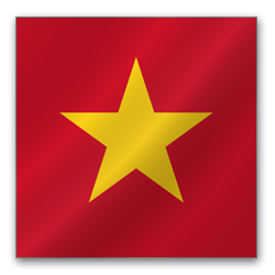 vizos į Vietnamą