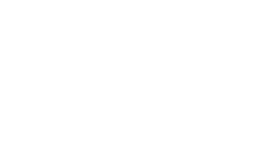 Fridmis vizų centras
